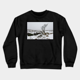 Sally Gap Snow Crewneck Sweatshirt